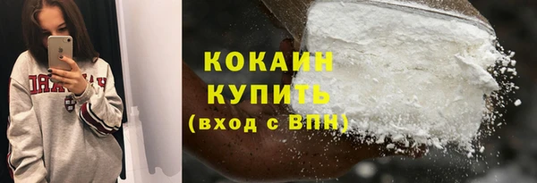 шишки Абинск