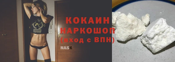 шишки Абинск