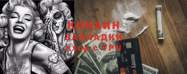шишки Абинск
