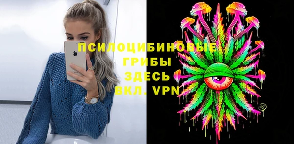 шишки Абинск