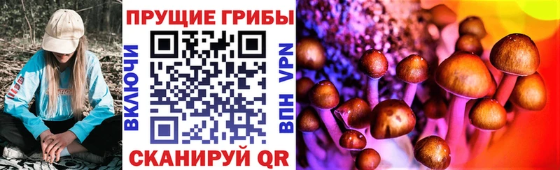 Псилоцибиновые грибы прущие грибы  Дятьково 