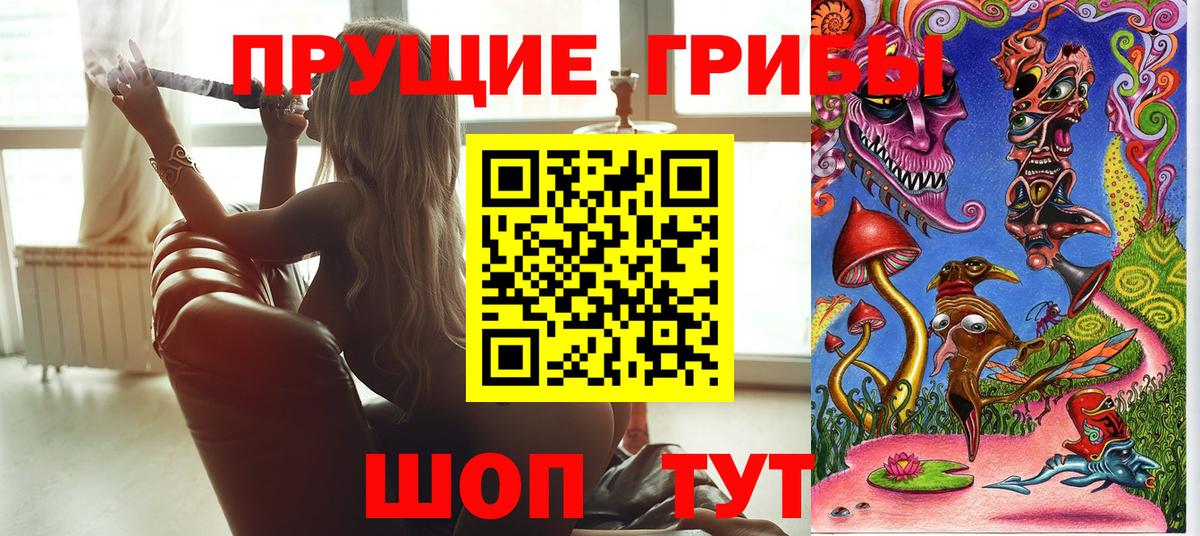 Псилоцибиновые грибы GOLDEN TEACHER Дятьково