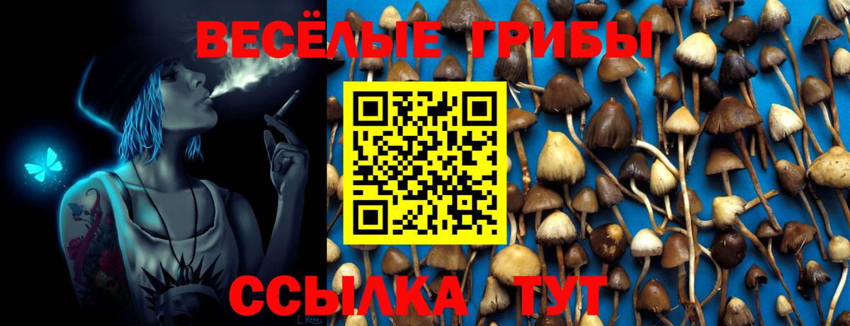 Дятьково  Галлюциногенные грибы Cubensis  цена наркотик  Вход с VPN 